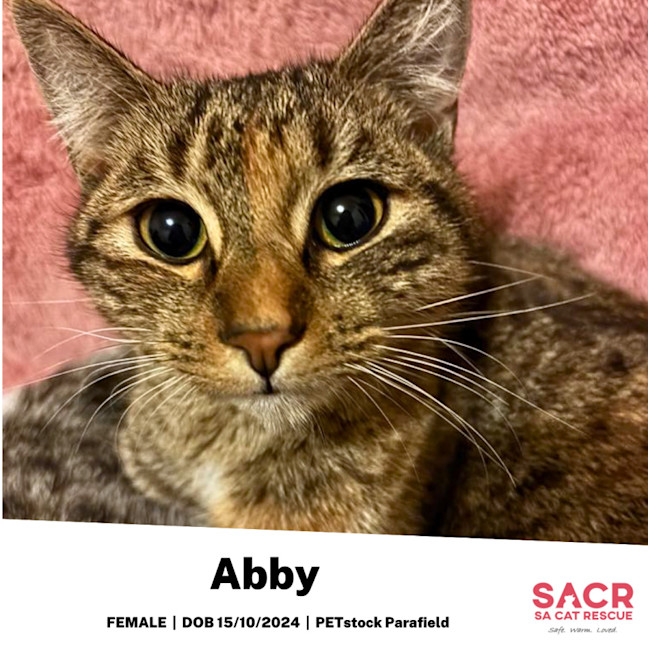 Photo of Abby