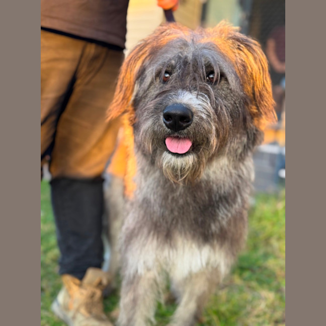 Photo of Mason