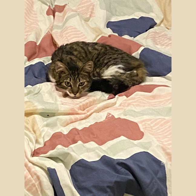 Photo of Audrey