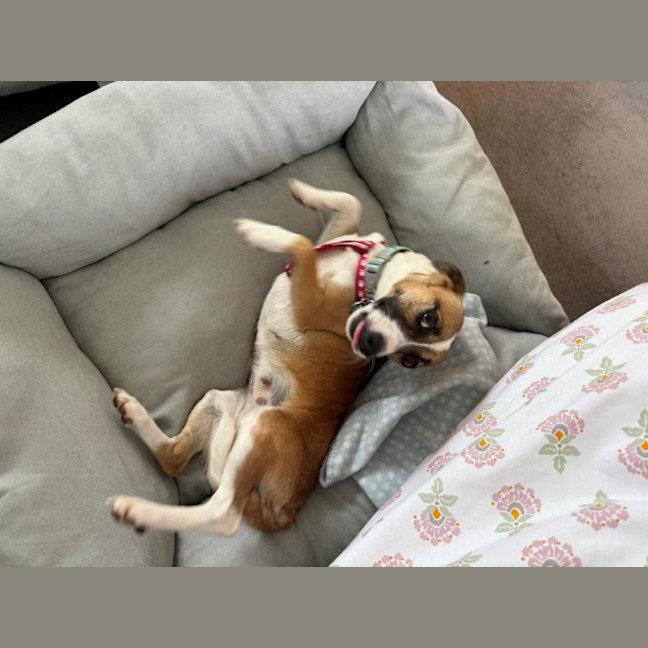 Photo of Lillie Uffelman