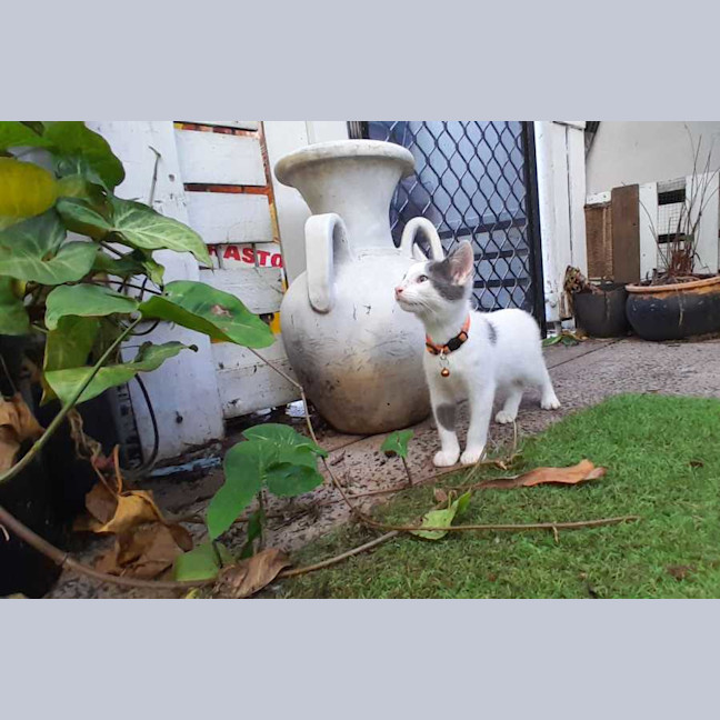 Photo of Oliver