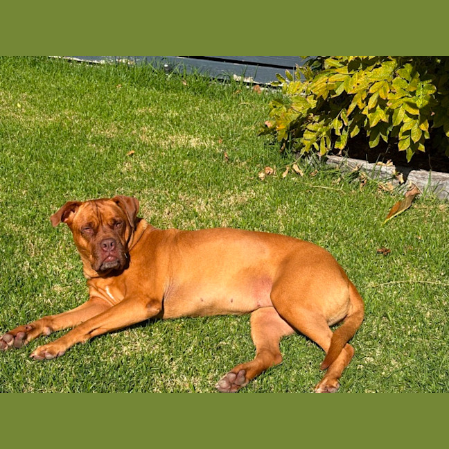 Photo of Tia 