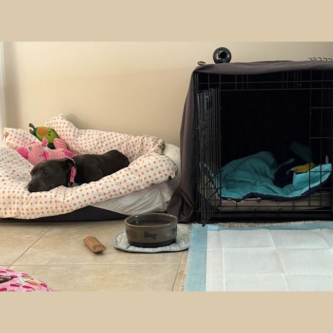 Photo of Wombat Bulleau