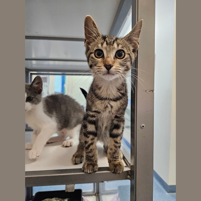 Photo of Stormy