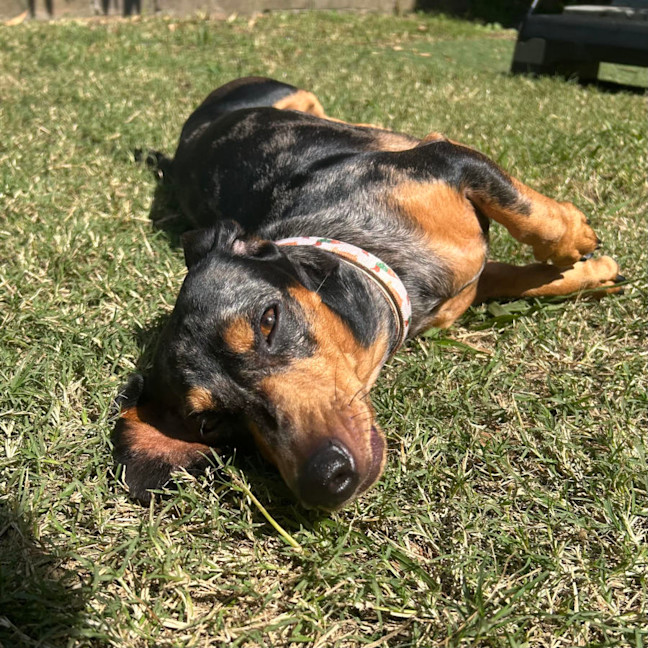 Photo of Charlie