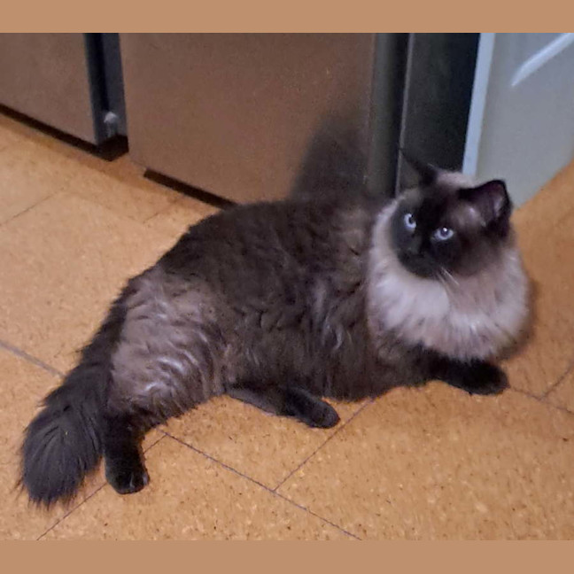 Photo of Hamish 