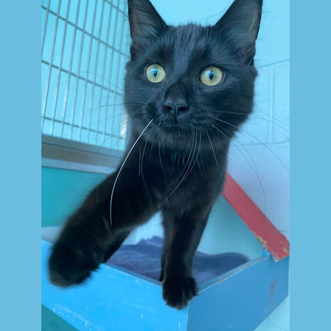 Photo of Morticia