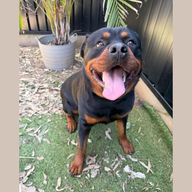 Photo of Lucy