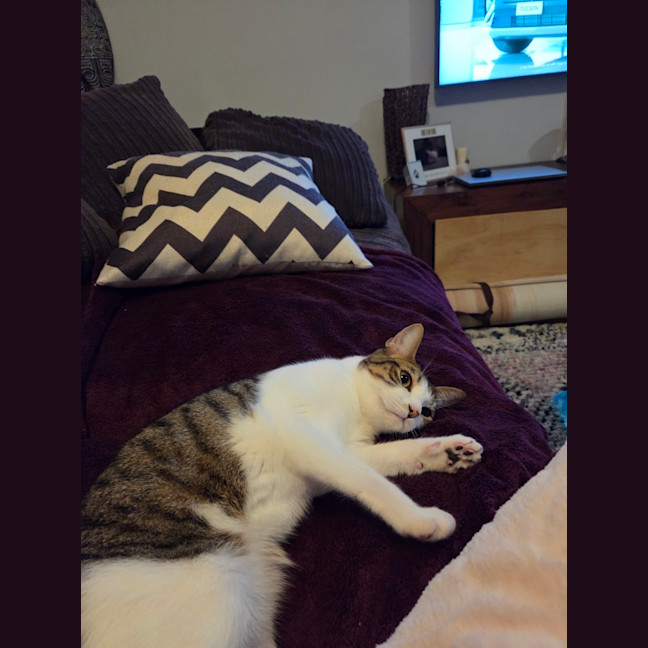 Photo of Maggie