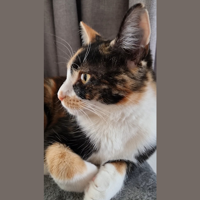 Photo of Zoe
