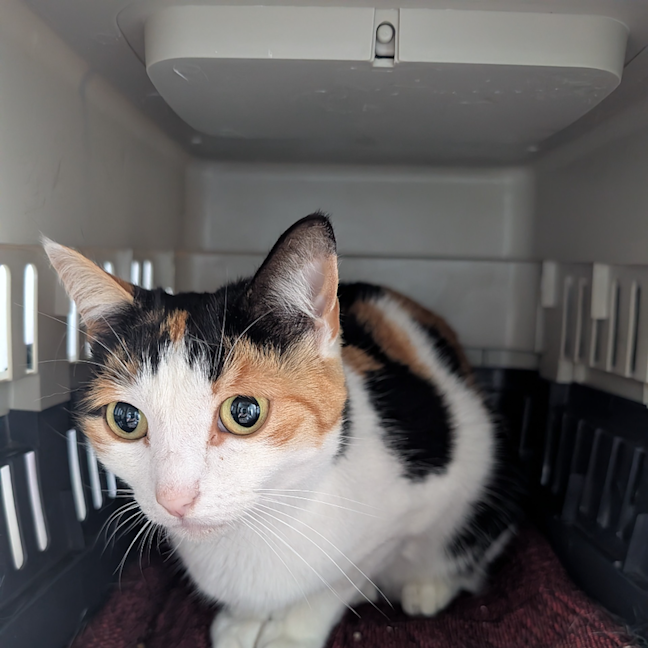 Photo of Sally
