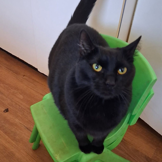 Photo of Sooty