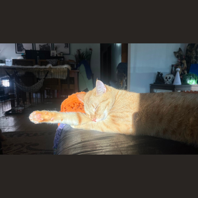Photo of Rory