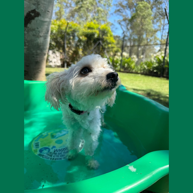 Photo of Betty