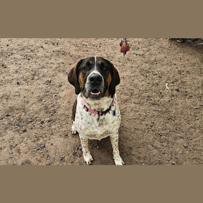 Photo of Georgie Porgie