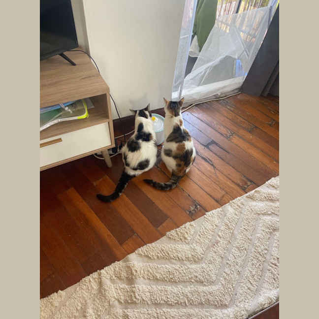 Photo of Shelly And Sandy