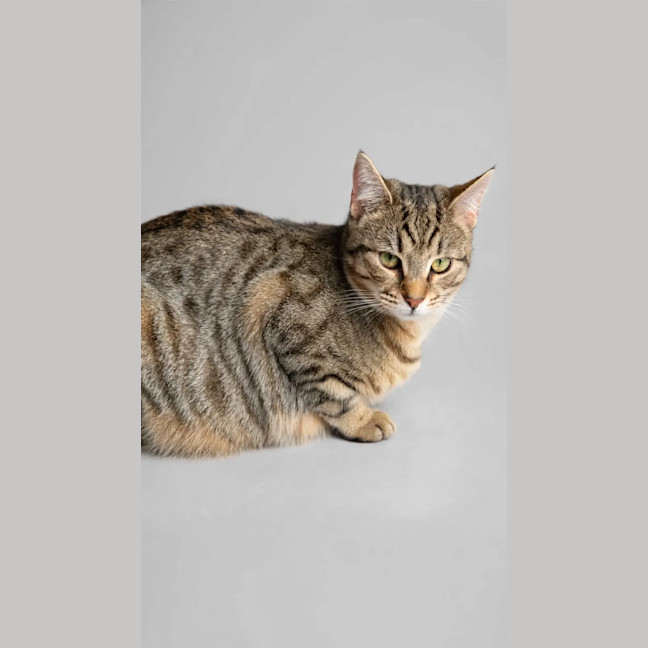 Photo of Mila