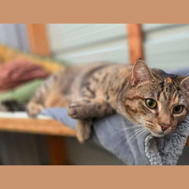 Photo of Echo