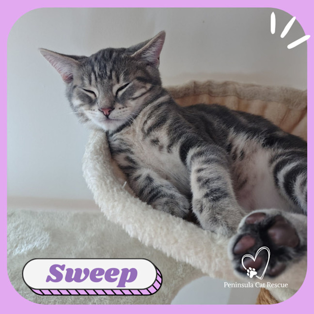 Photo of Sweep