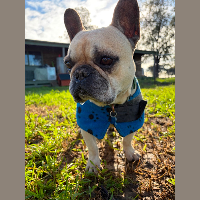 Photo of Gus