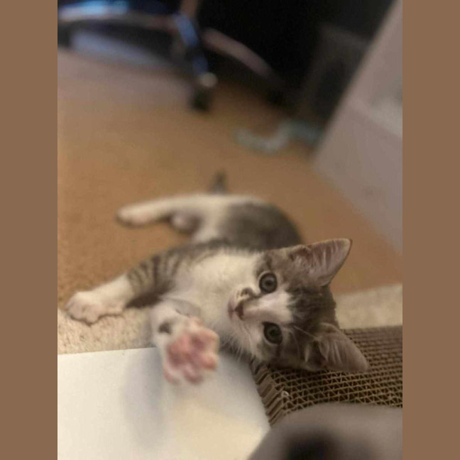 Photo of Lilly 💖