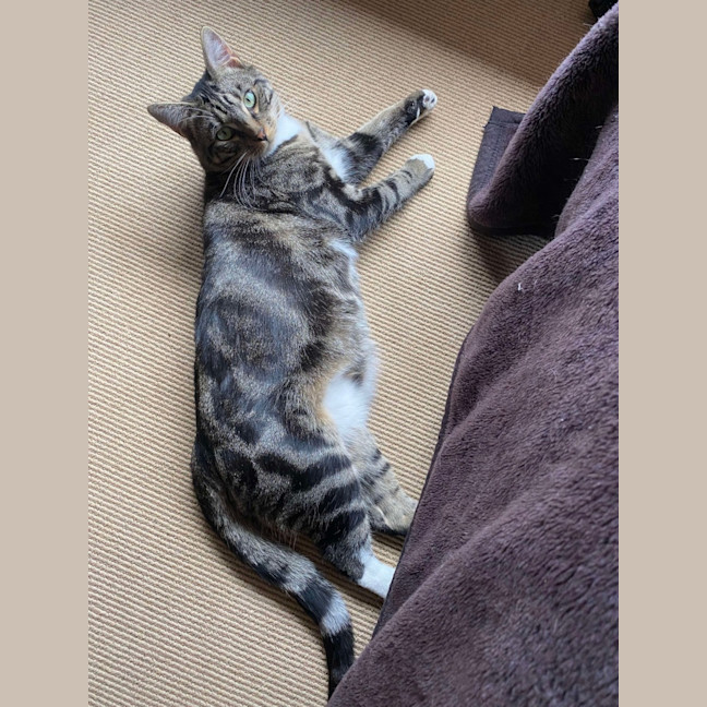 Photo of Oscar