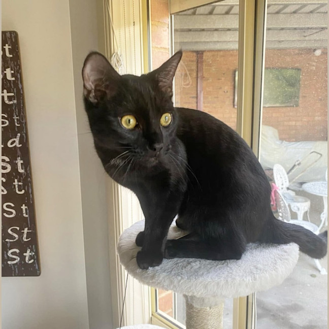 Photo of Bort 🖤