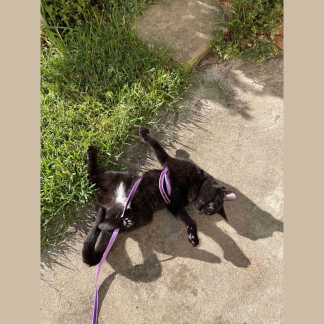 Photo of Loudmouth Magee