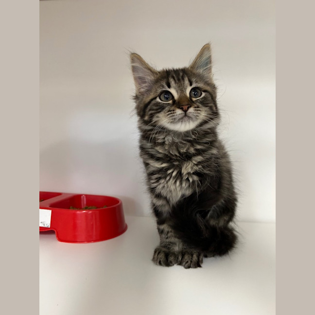 Photo of Ebony & Ivory