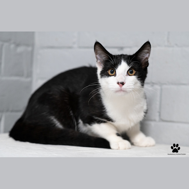 Photo of Max