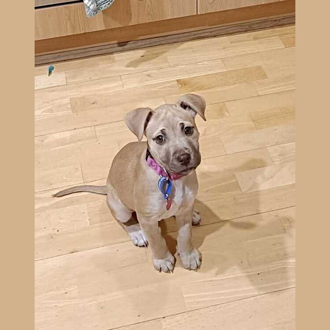 Photo of Tiny Tina