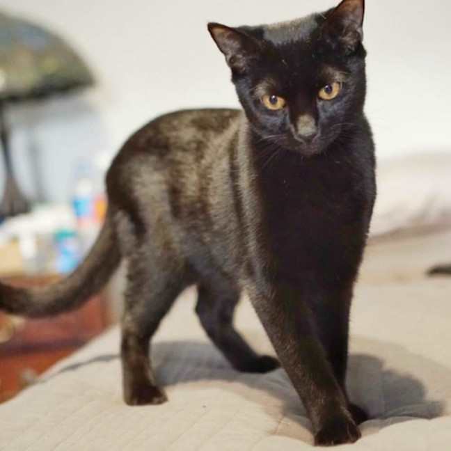 Photo of Klaus