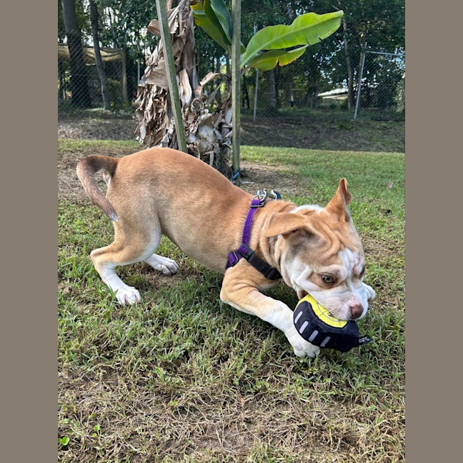 Photo of Milly