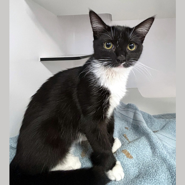 Photo of Emma Stk013179 & Freddie Stk013181