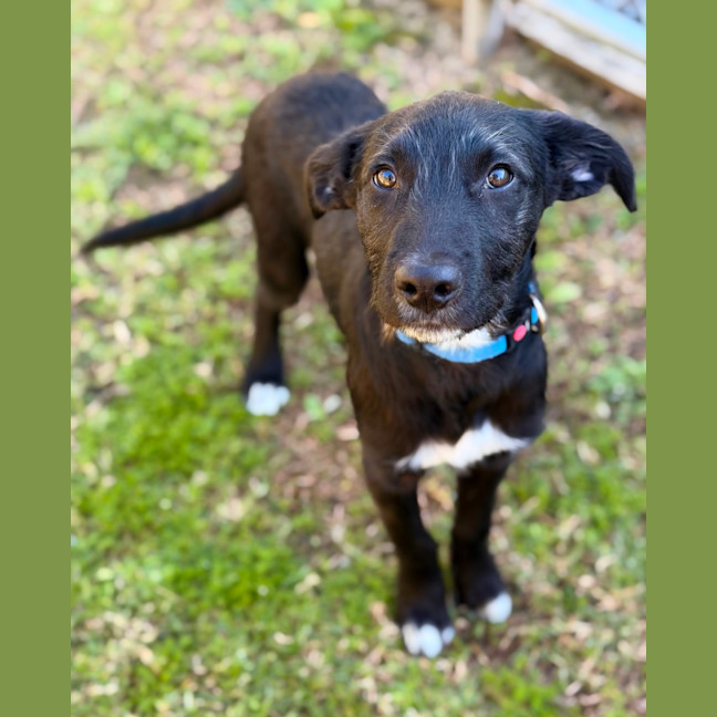 Photo of Wilbur