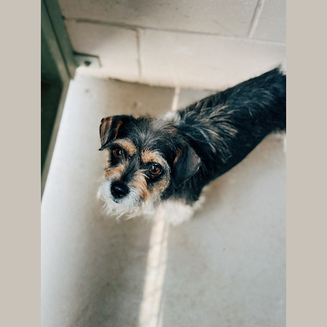 Photo of Roxy