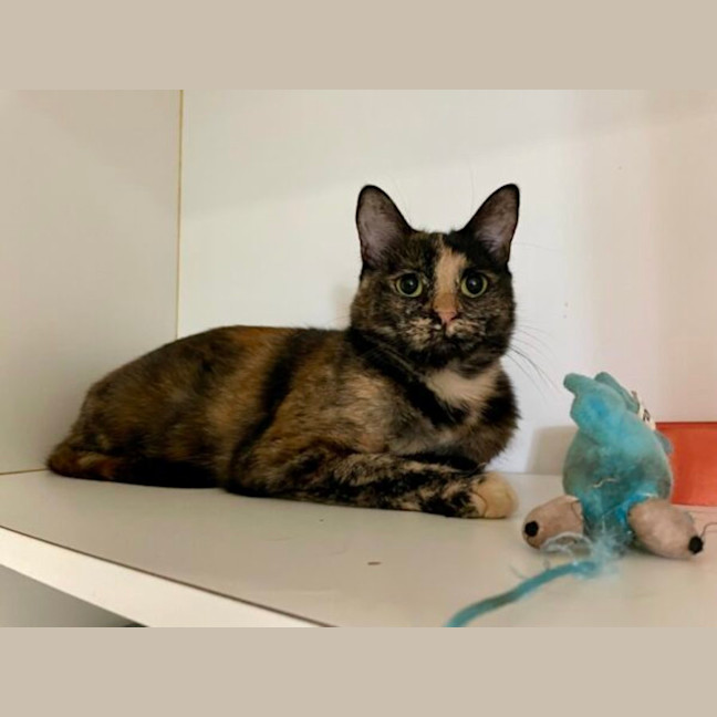 Photo of Hilda And Sunni