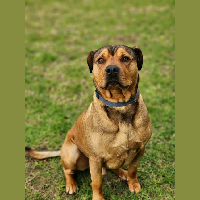 Photo of 👑 King 6259 👑