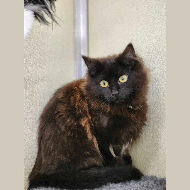 Photo of 🍫 Malteaser 5469 🍫