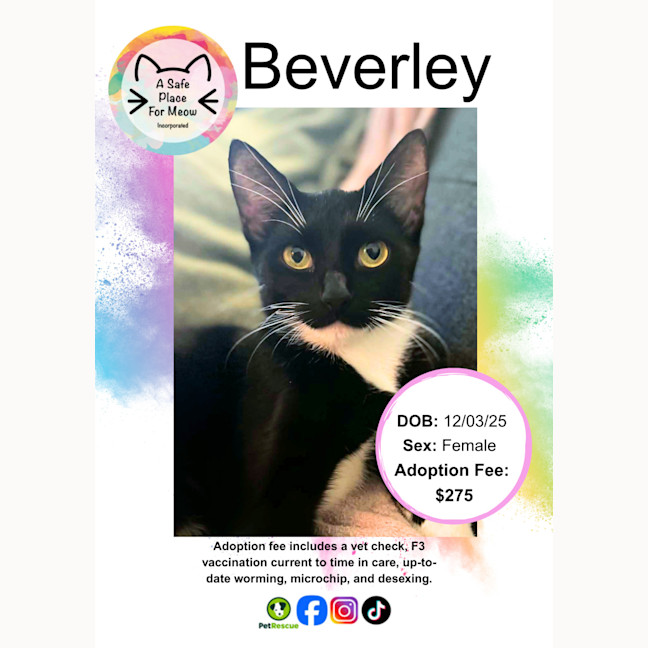 Photo of Beverley