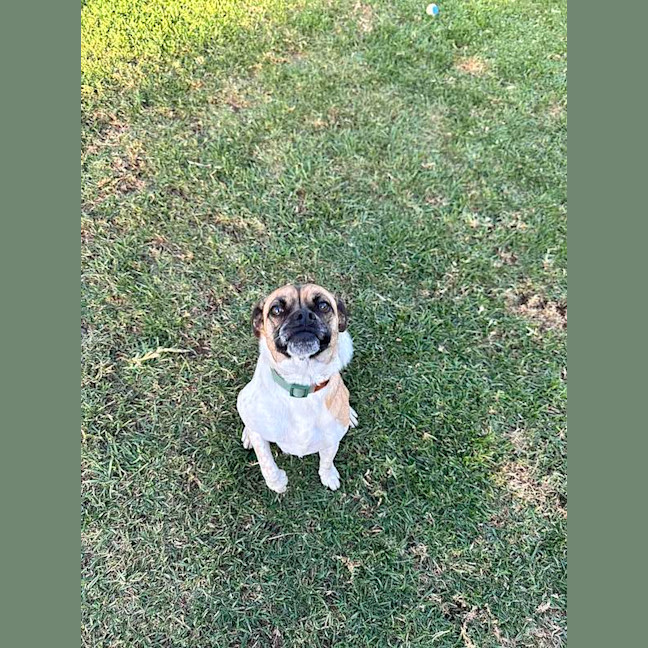 Photo of Wallace