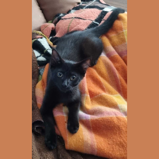 Photo of Leroy