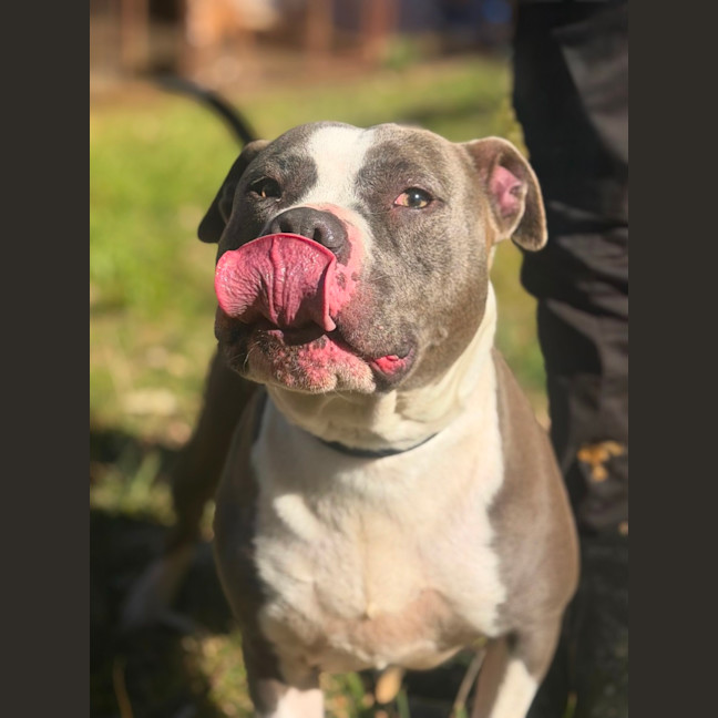Photo of Mabel