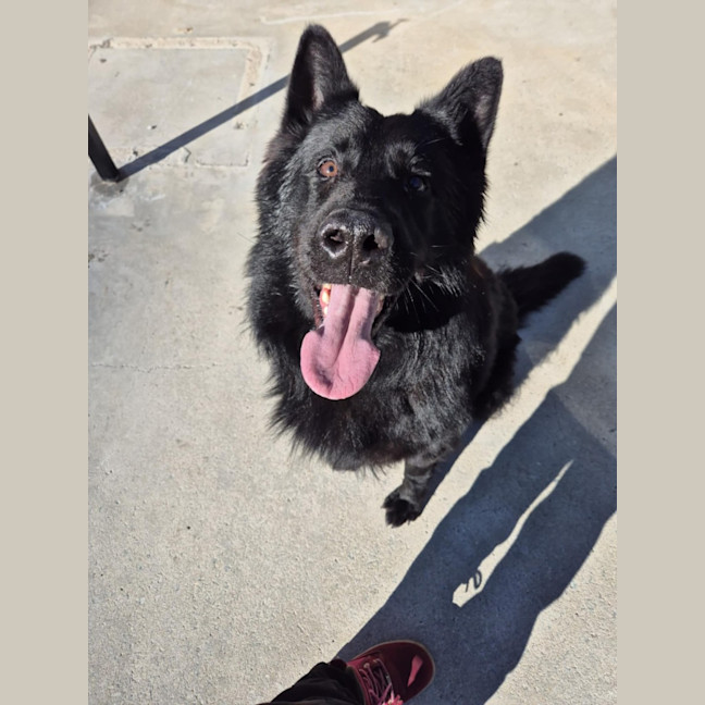 Photo of Archie 💘