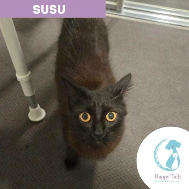 Photo of Susu