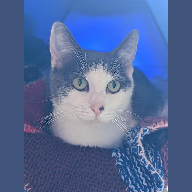 Photo of Rosie
