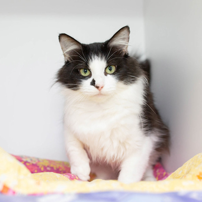 Photo of Matilda