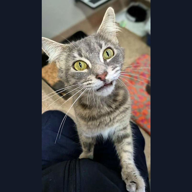 Photo of Momo