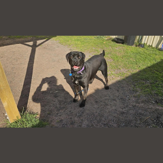 Photo of Betty