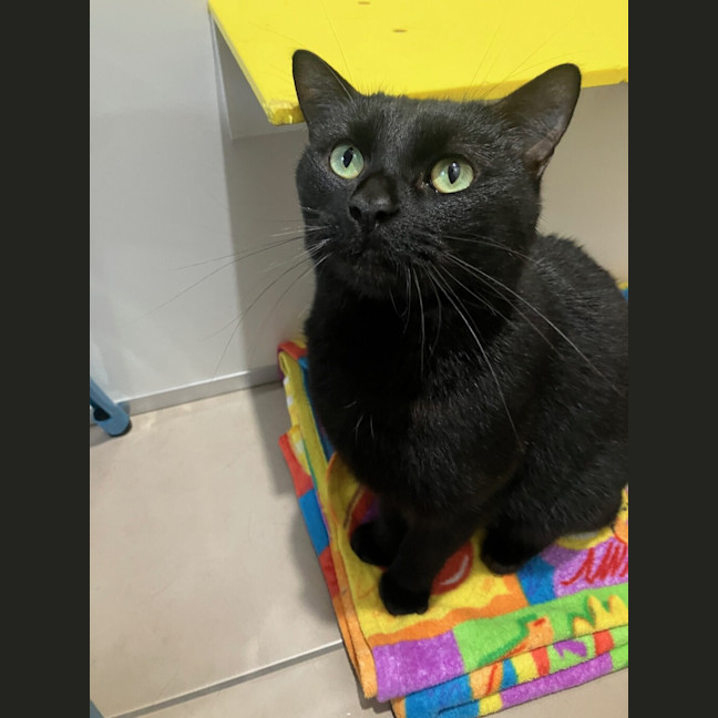 Photo of Frankie(stanky)